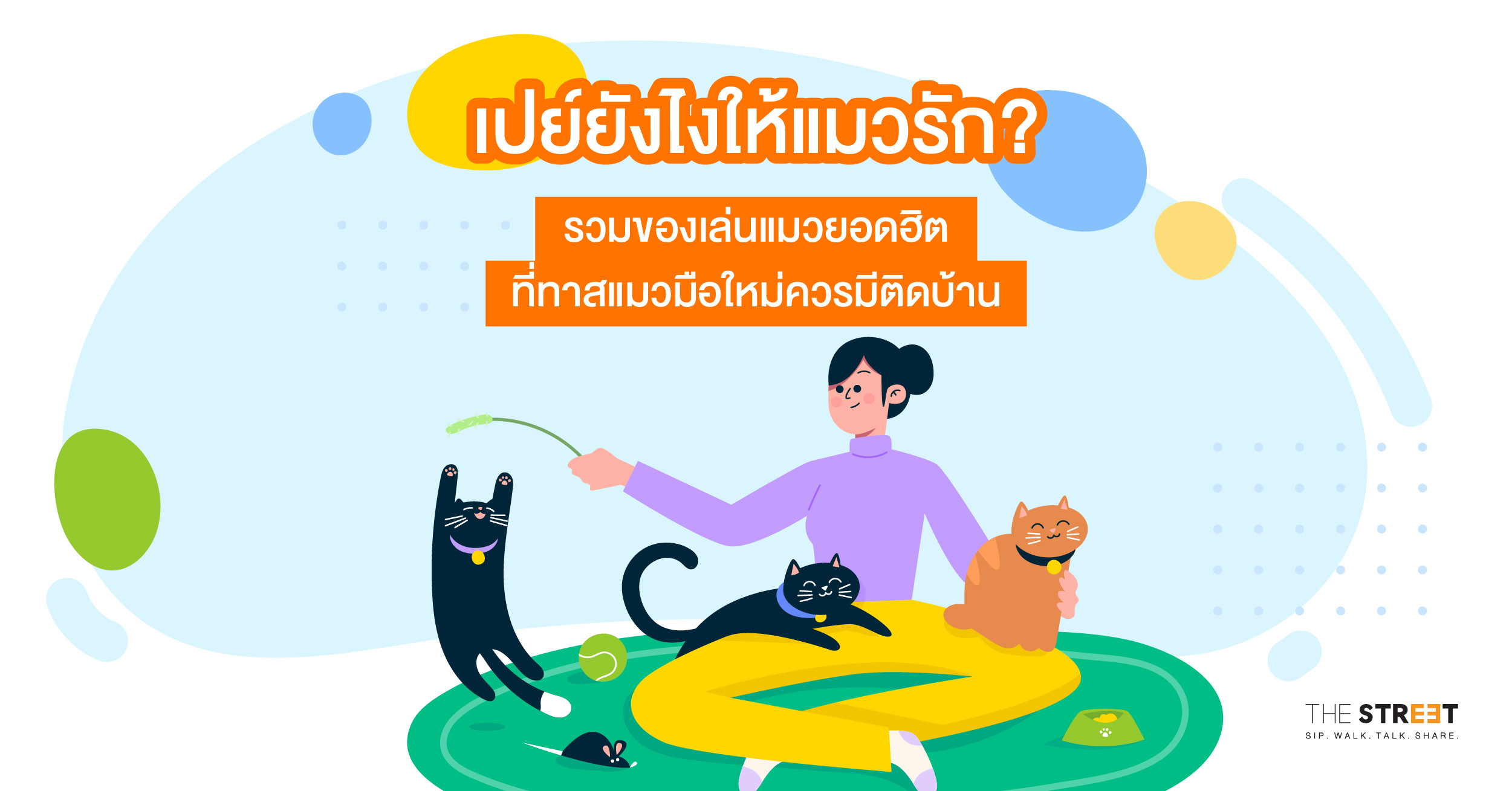เปย์ยังไงให้แมวรัก-รวมของเล่นแมวยอดฮิต-ที่ทาสแมวมือใหม่ควรมีติดบ้าน
